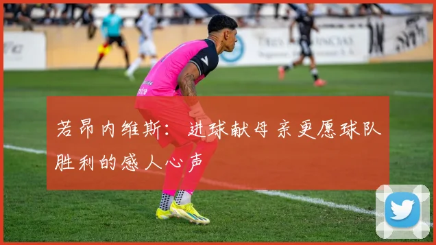 若昂内维斯：进球献母亲更愿球队胜利的感人心声