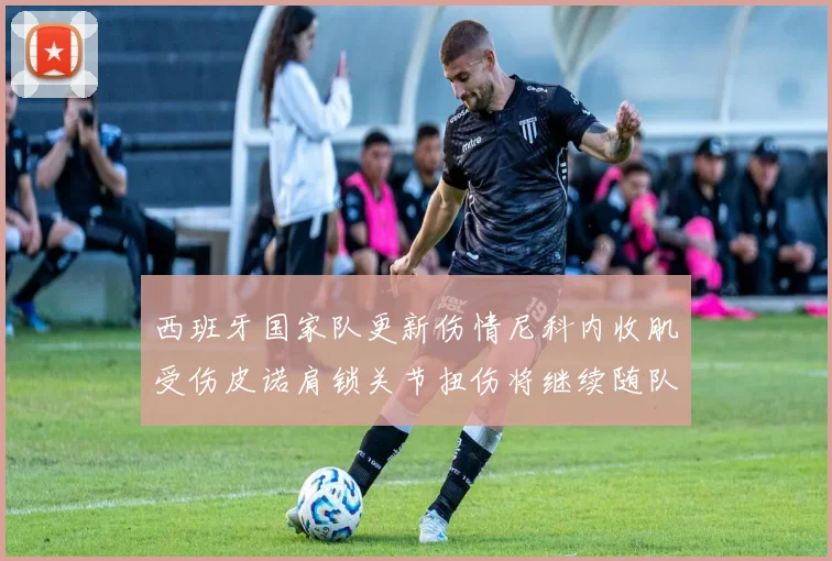 西班牙国家队更新伤情尼科内收肌受伤皮诺肩锁关节扭伤将继续随队训练